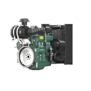 motore diesel 1