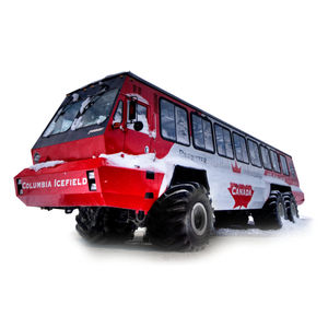 camion da trasporto