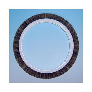 spazzola circolare 1