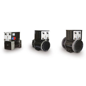 alternatore trifase 1