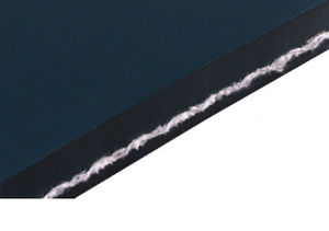 cinghia sincrona