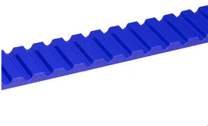 cinghia dentata 1