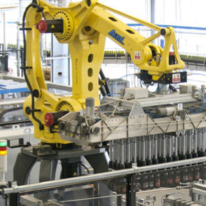 robot articolato