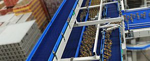 nastro elevatore 1