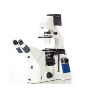 microscopio ottico 1