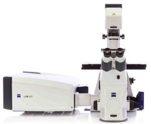 sistema di imaging 1
