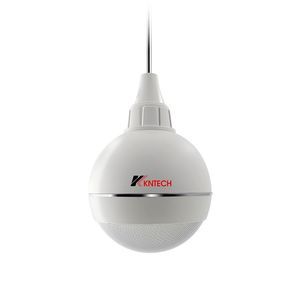 altoparlante da soffitto 1