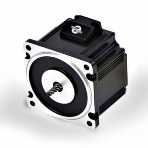 motore brushless