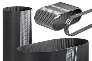 cinghia in neoprene