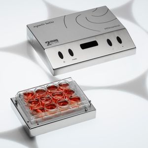 agitatore di laboratorio magnetico 1