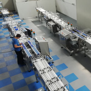 impianto di fine linea per inscatolamento 1