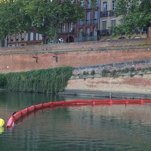 barriera anti-inquinamento per olio