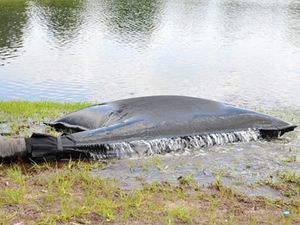 sacco filtrante per filtro ad acqua