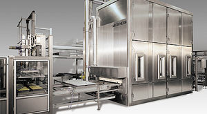 forno per il settore agroalimentare a convezione