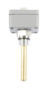 interruttore di temperatura elettronico