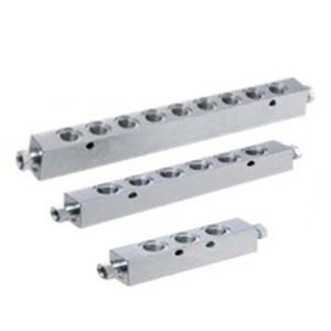 manifold multicanale