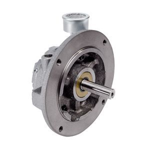motore pneumatico a paletta 1