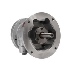 motore pneumatico a paletta 1