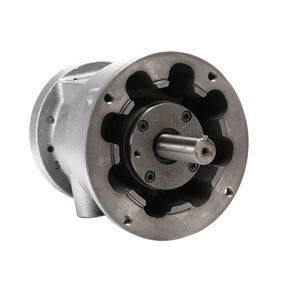 motore pneumatico a paletta 1