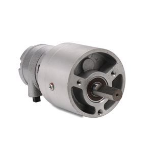 motoriduttore pneumatico 1