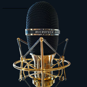 microfono di registrazione