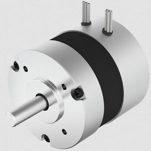 motore brushless 1