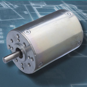 motore DC / BLCD / 24 V / 8 poli