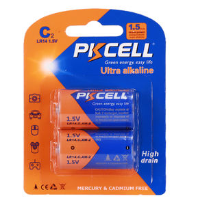 batteria alcalina 1