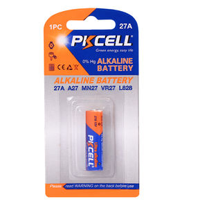 batteria alcalina 1
