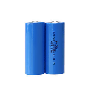 batteria litio-cloruro di tionile 1