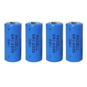 batteria litio-cloruro di tionile 1