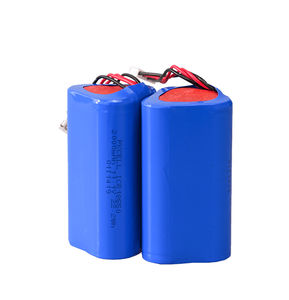 batteria a ioni di litio 1