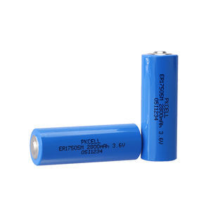 batteria litio-cloruro di tionile 1