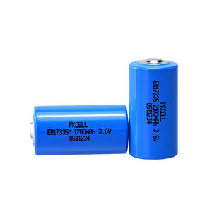batteria litio-cloruro di tionile 1