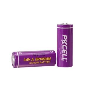batteria litio-cloruro di tionile 1