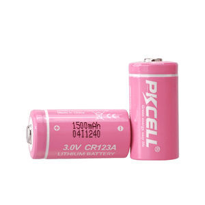 batteria litio-biossido di manganese 1