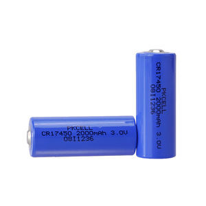 batteria litio-biossido di manganese 1
