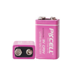 batteria litio-biossido di manganese 1