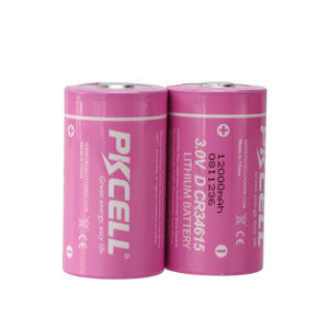 batteria litio-biossido di manganese 1