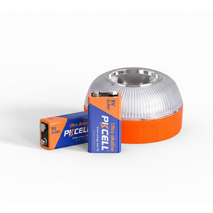 batteria alcalina