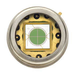 termociclatore in tempo reale