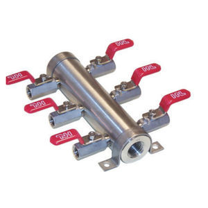 manifold multicanale