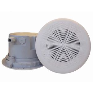 altoparlante da soffitto 1