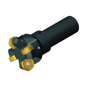 fresa a riccio / a inserti / a spianare / a 2 denti