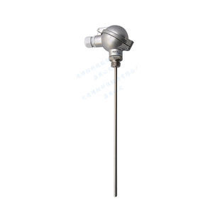 sonda di temperatura RTD