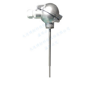 sonda di temperatura RTD