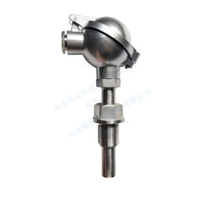 sonda di temperatura con tubo di estensione