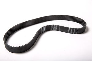 cinghia dentata 1