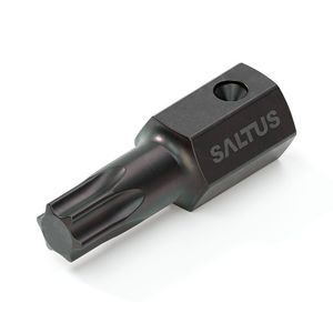 punta per cacciavite torx 1