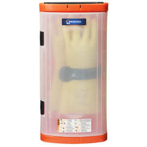 glove box in plastica